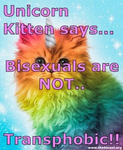 Unicorn Kitten says... Bisexuals are NOT Transphobic